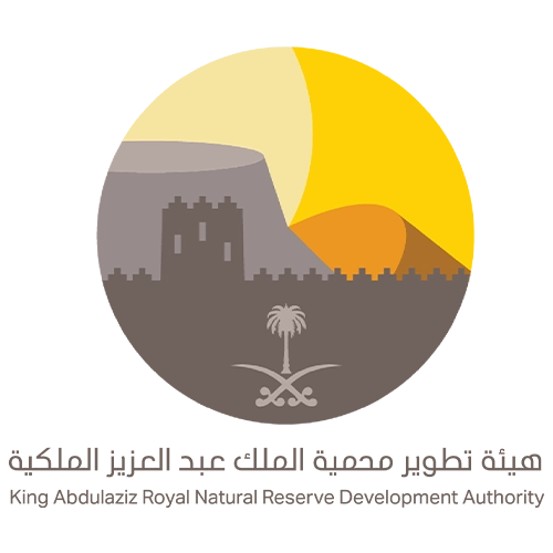 شريك النجاح